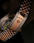 Alexander Ferros 8132D/08