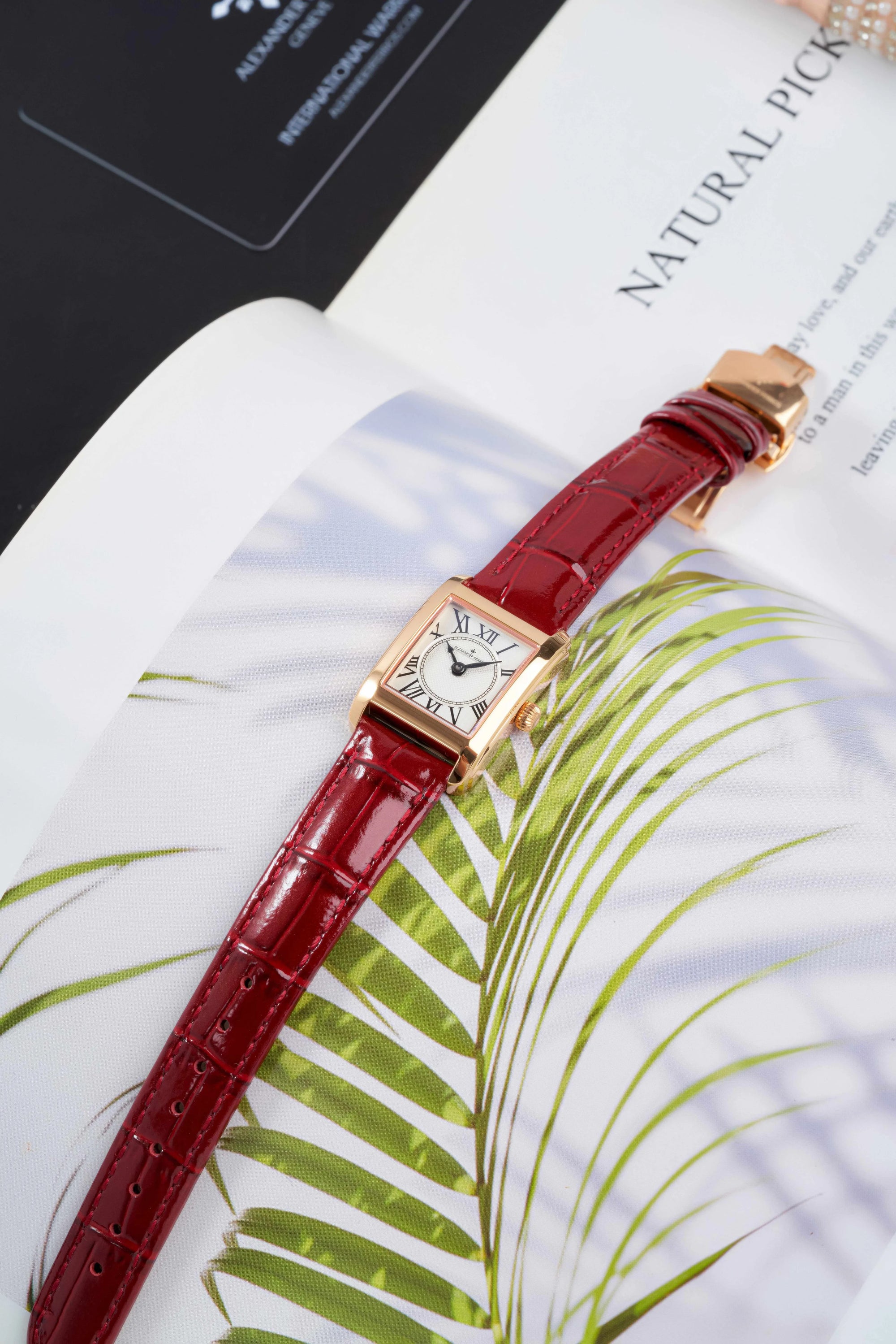 Alexander Ferros 7282R-02