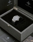 Alexander Ferros 6161S-02