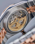 Alexander Ferros 8181D/08